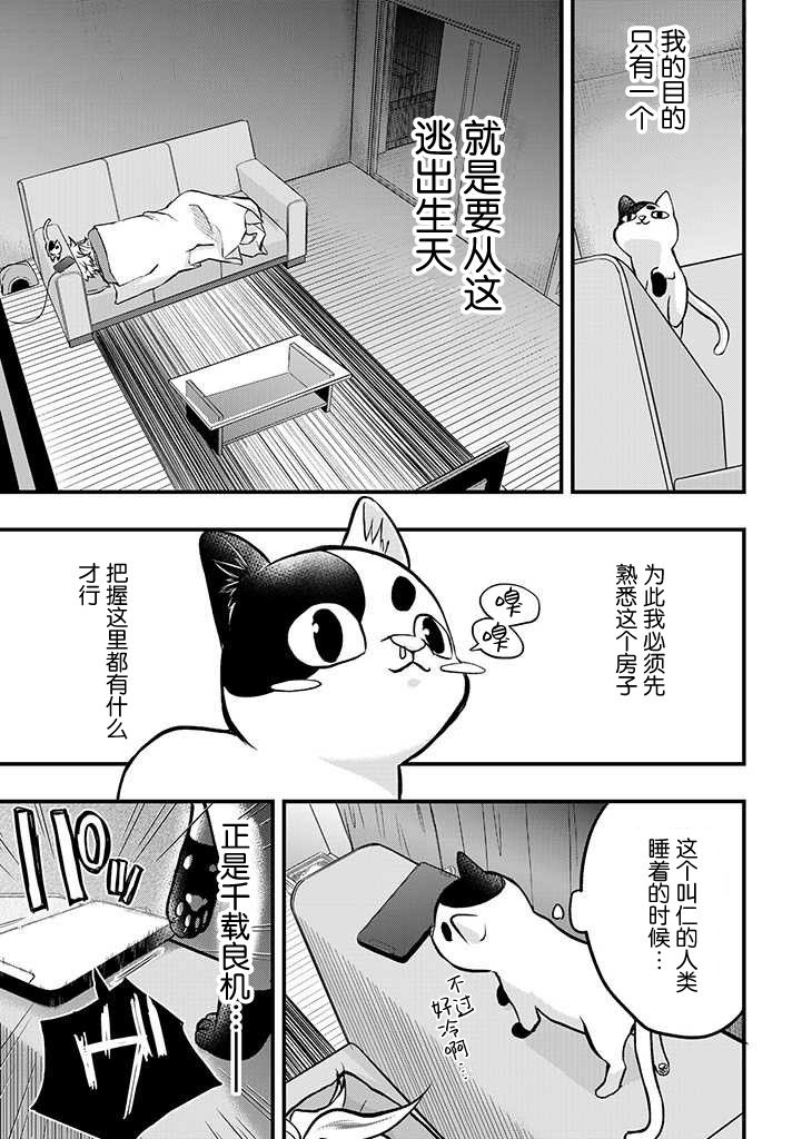 被遗弃的小猫咪与原黑道漫画,第3话4图