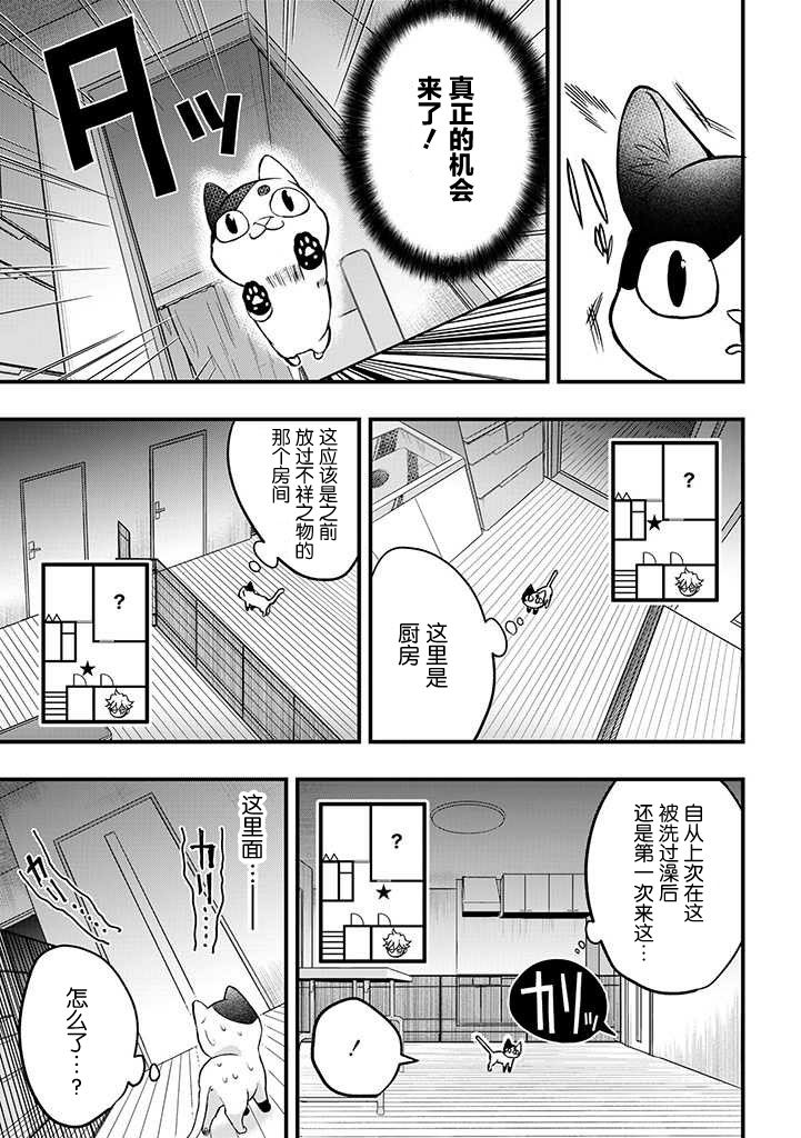 被遗弃的小猫咪与原黑道漫画,第3话3图