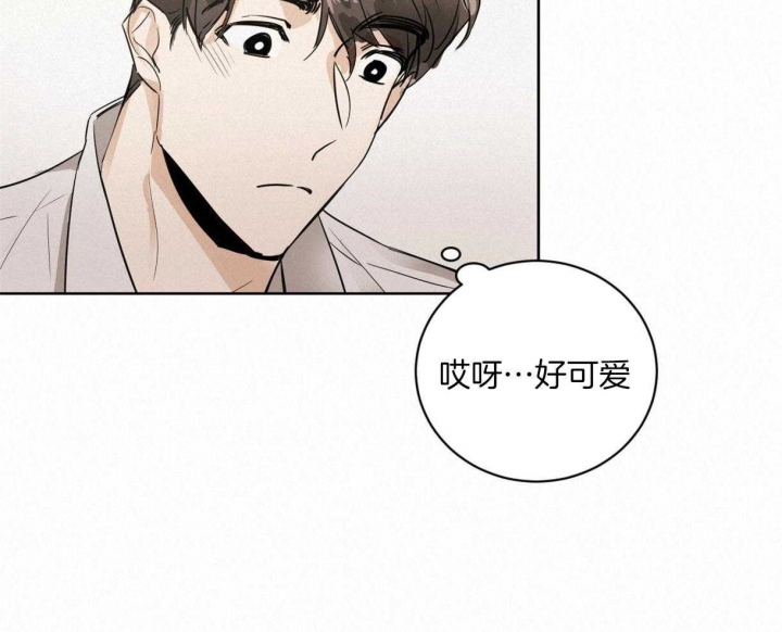 冷血动物漫画免费完整版漫画,第11话2图