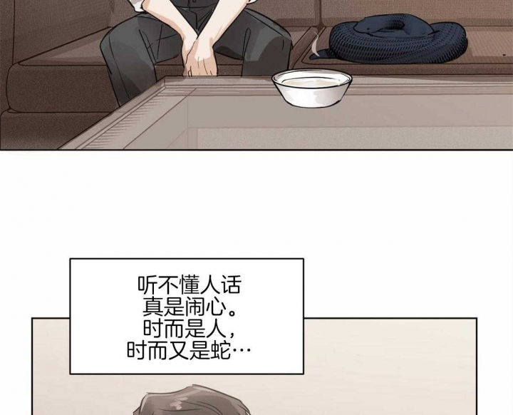 冷血动物漫画免费完整版漫画,第11话5图