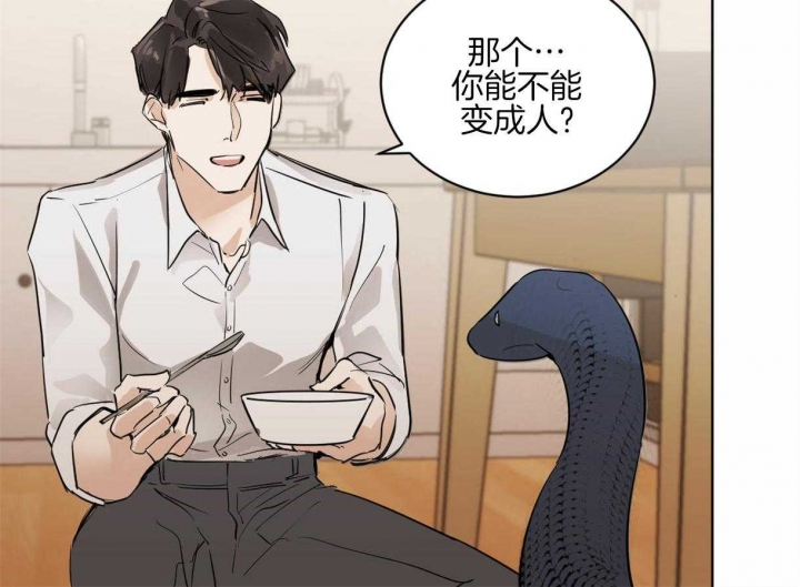 冷血动物和恒温动物漫画,第11话1图