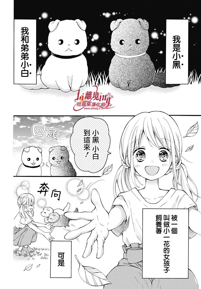 小白与小黑的一花漫画,第1话2图