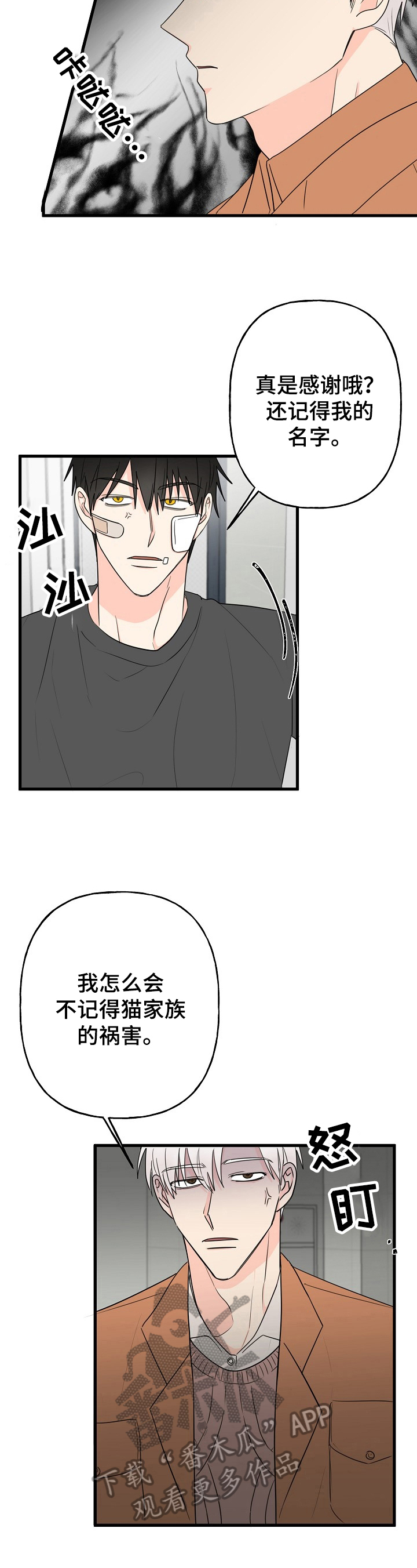 幸运猫漫画,第6章：针对3图