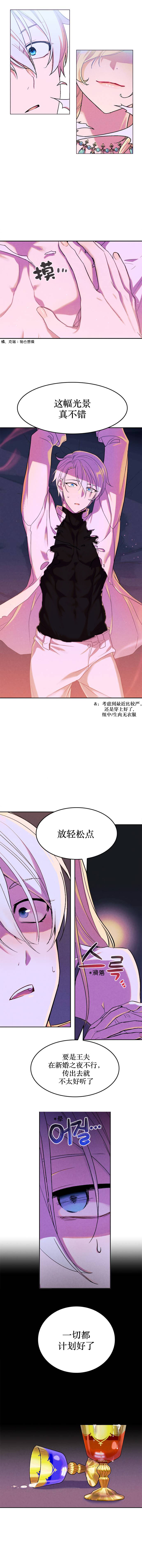 国王与圣骑士的掠夺婚姻漫画,第3话2图