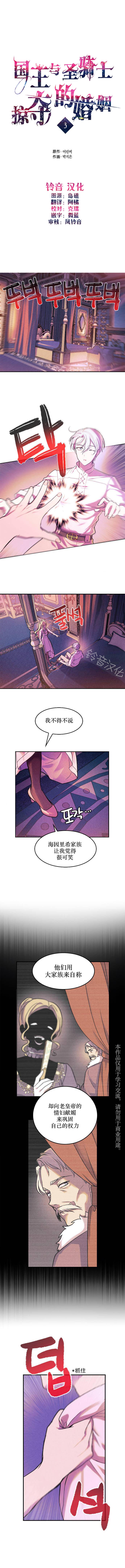 国王与圣骑士的掠夺婚姻漫画,第3话2图