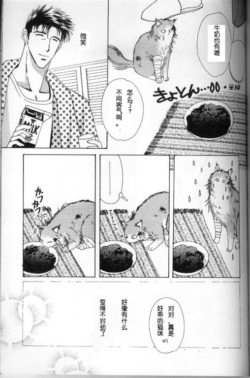 我的小猫漫画,第5话3图