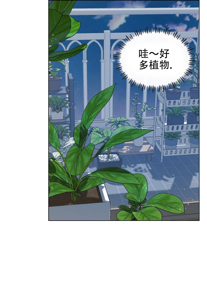 植物疗法是什么漫画,第2话2图