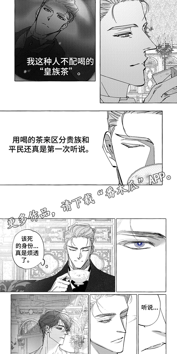 珍珠耳环60集全漫画,第10话5图