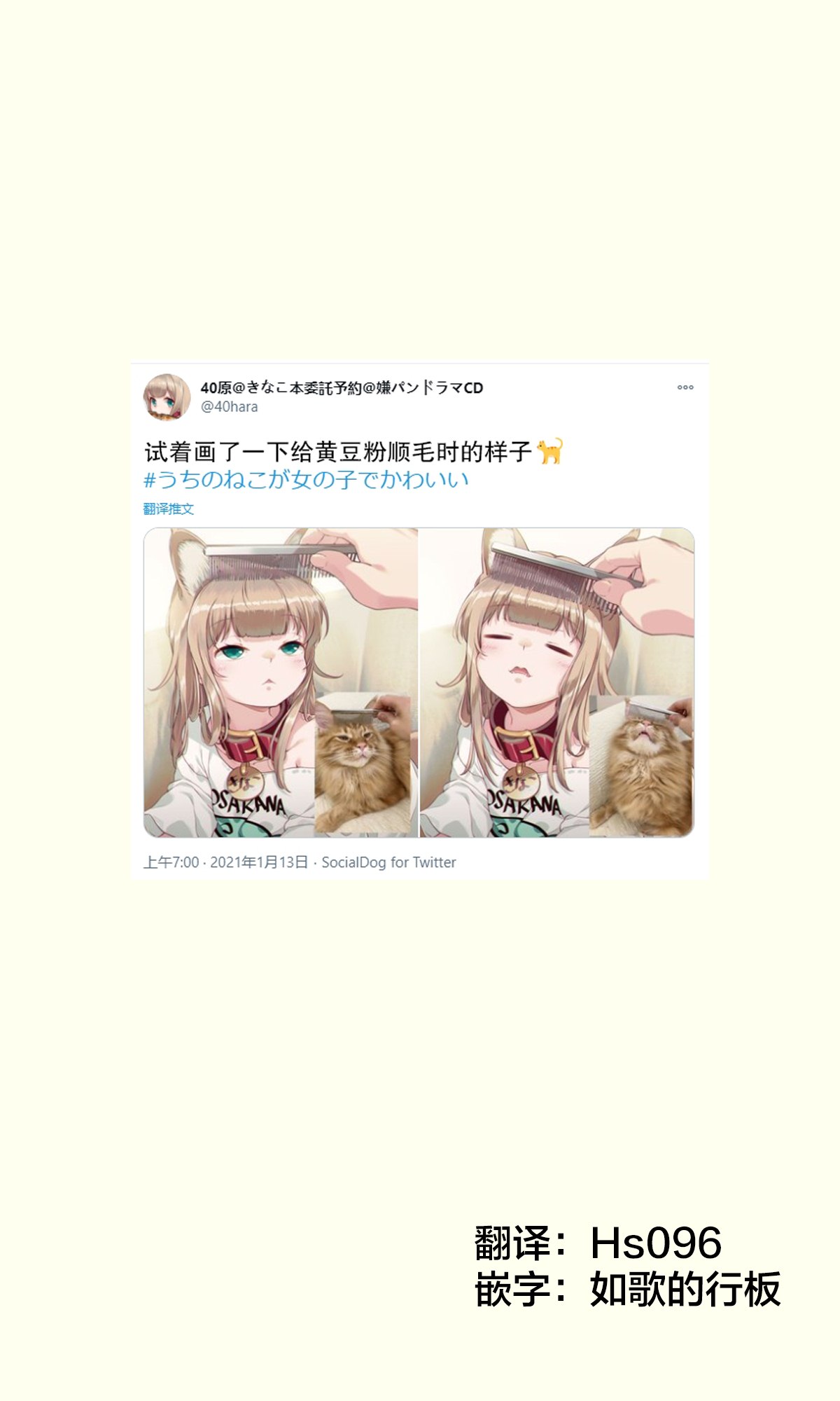 我家的猫猫是可爱的女孩子！漫画,杂图81图