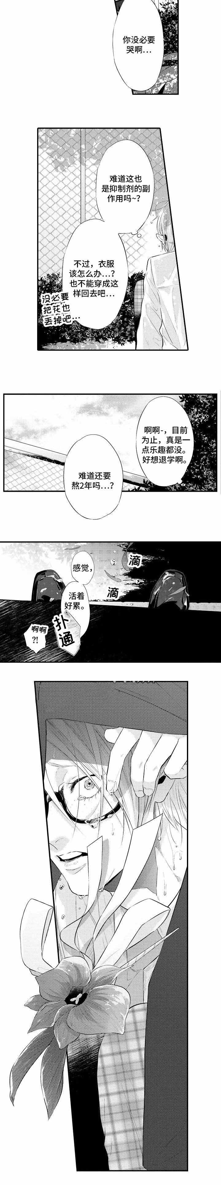 花香仕途徐凡全文漫画,第3话1图