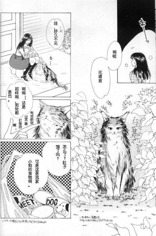 我的小猫漫画,第2话4图