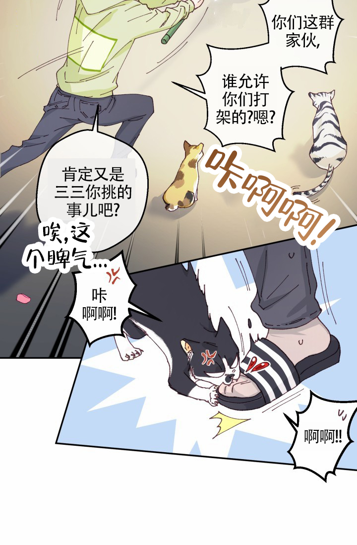 武赫勒达尔战况漫画,第1话4图