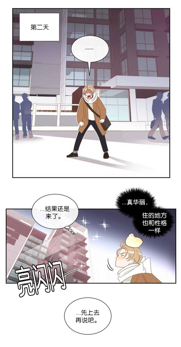 蛇族烙印漫画,第9章：如约而至5图