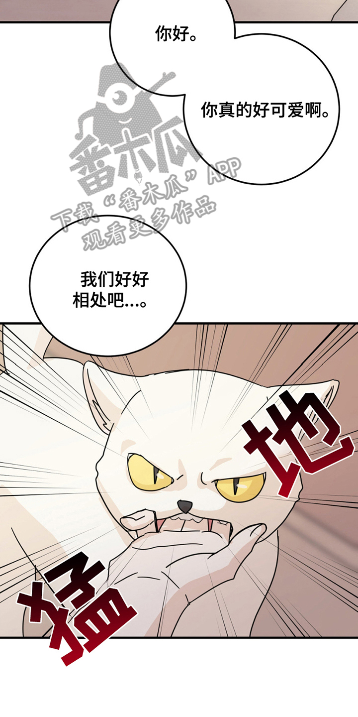 互补滤波漫画,第8话5图