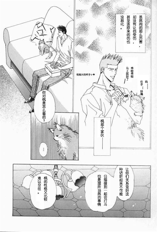 我的小猫漫画,第10话3图