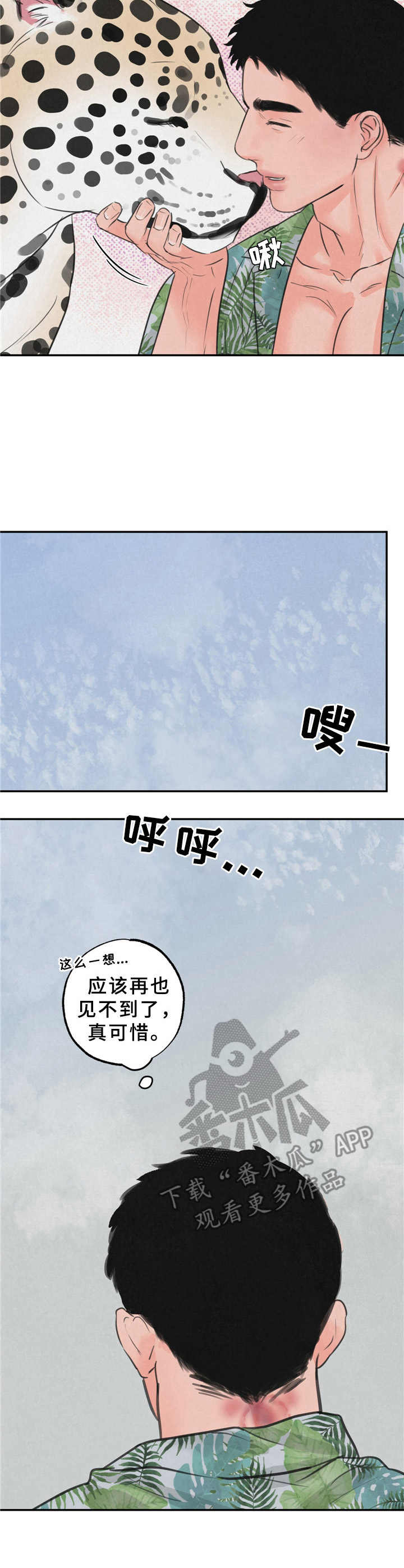 野性之美漫画,第10章：喜欢上了2图