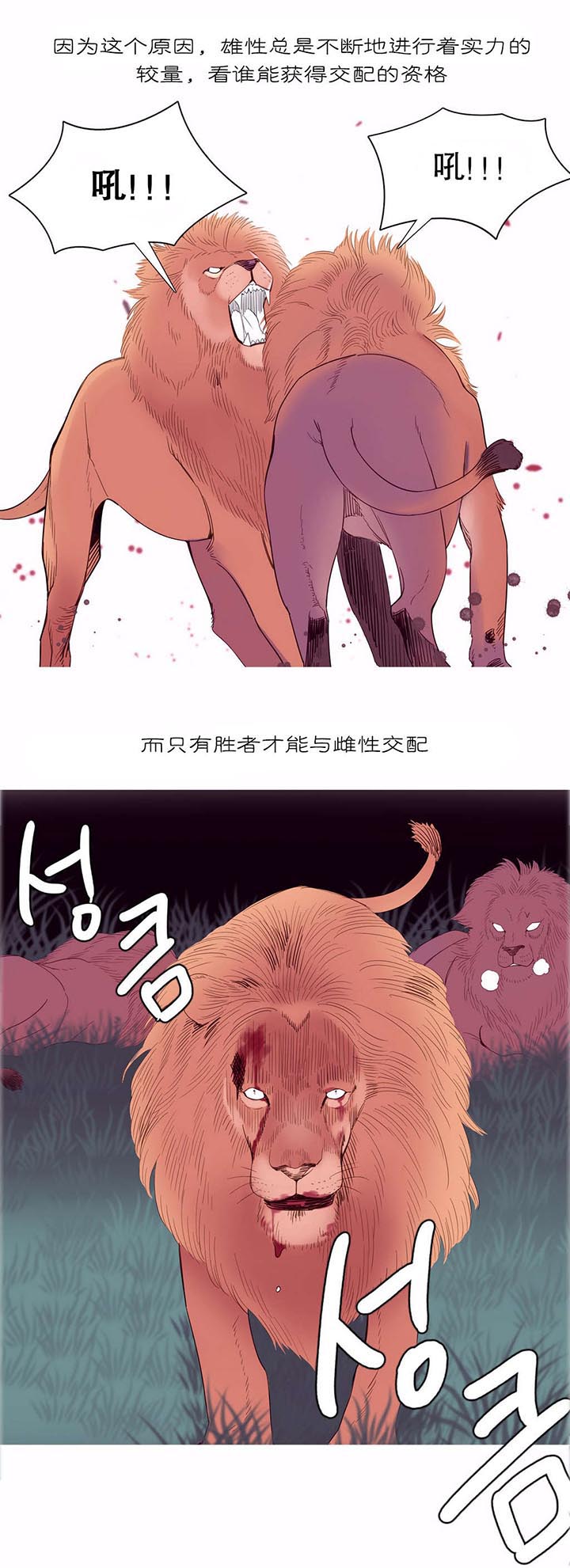 精灵小岛漫画,第10章：自由国度4图