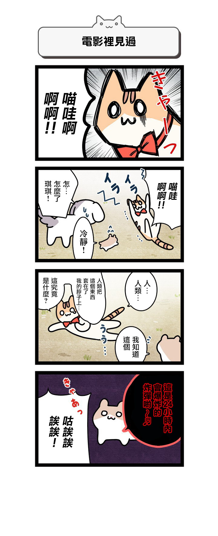 地球的主人是猫喵漫画,第2话3图