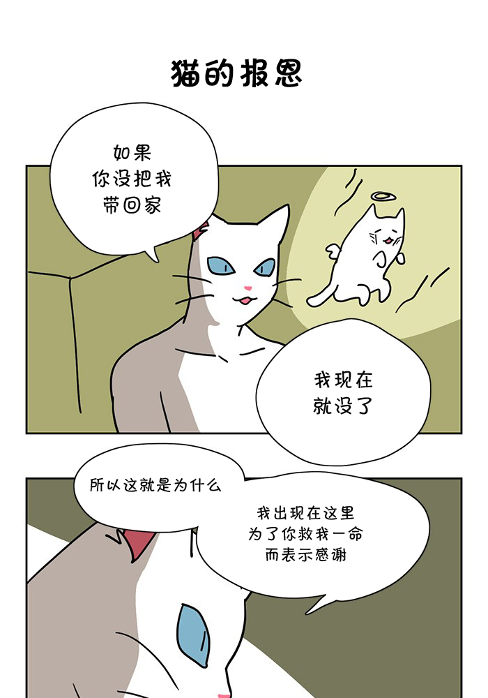 喵人漫画,第1话5图