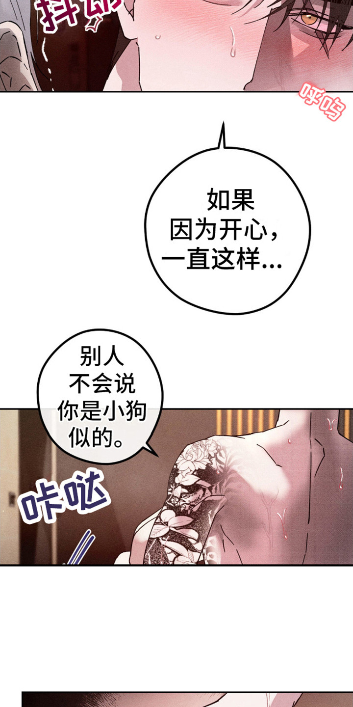 过激反应猫咪漫画,第9话1图