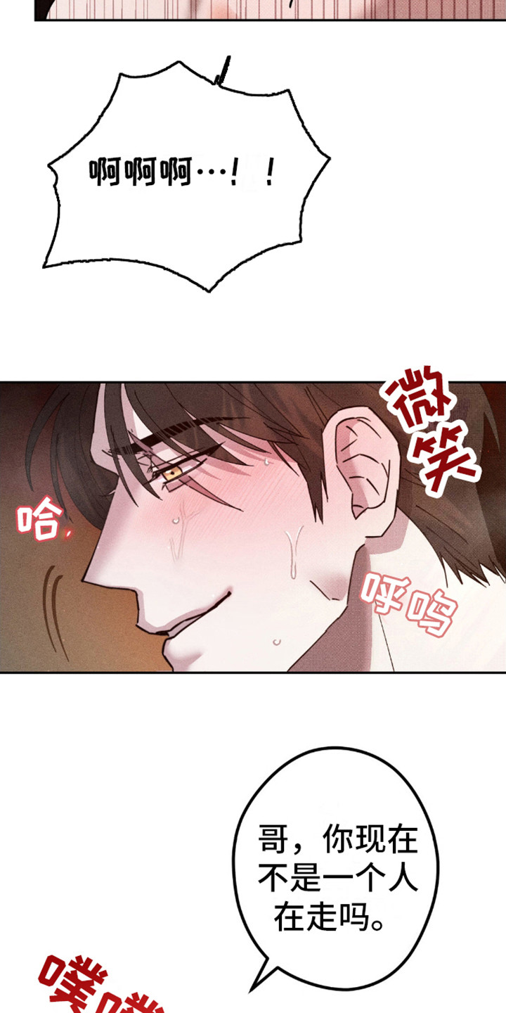 过激反应猫咪漫画,第9话4图