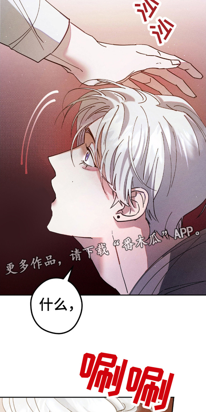 过激反应歌曲漫画,第4话1图