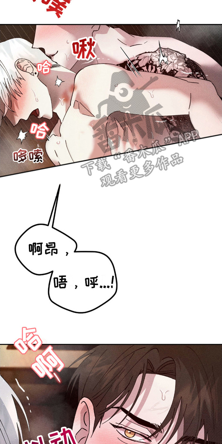 过激反应猫咪漫画,第9话5图