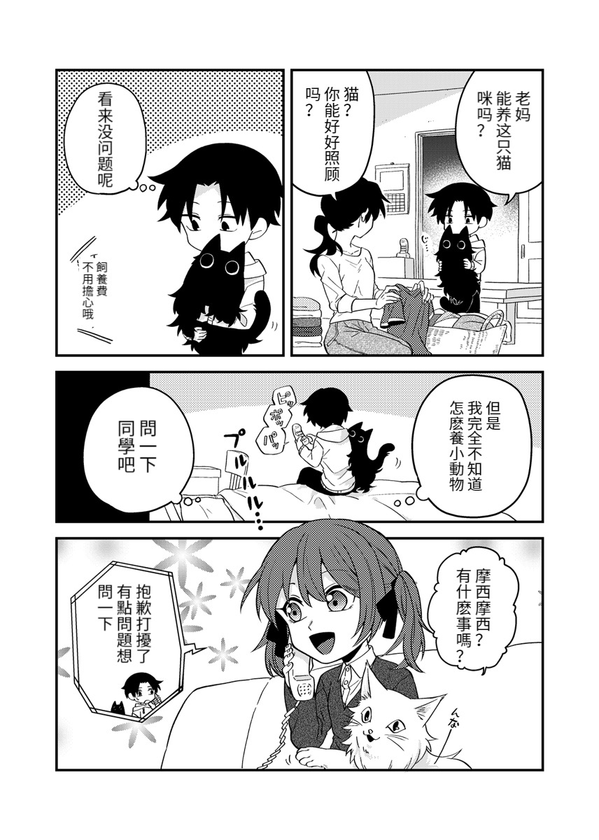 这是猫猫吗？漫画,第3话1图