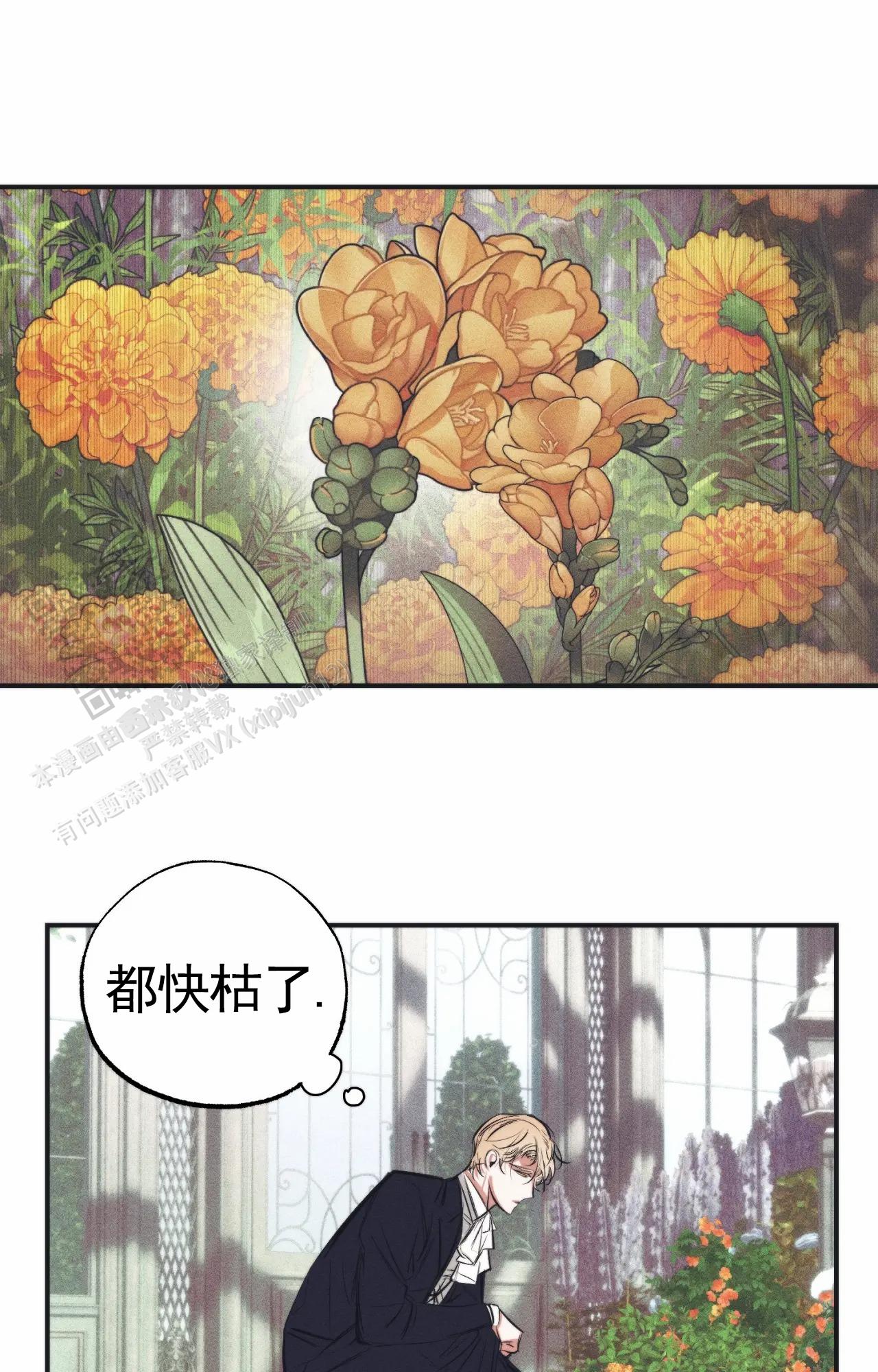 以斯帖庭院漫画,第5话1图