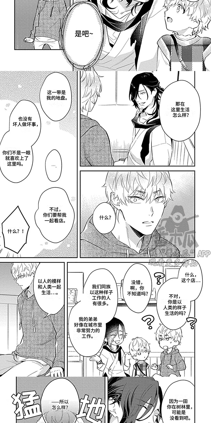 毛茸茸之家漫画,第7话3图