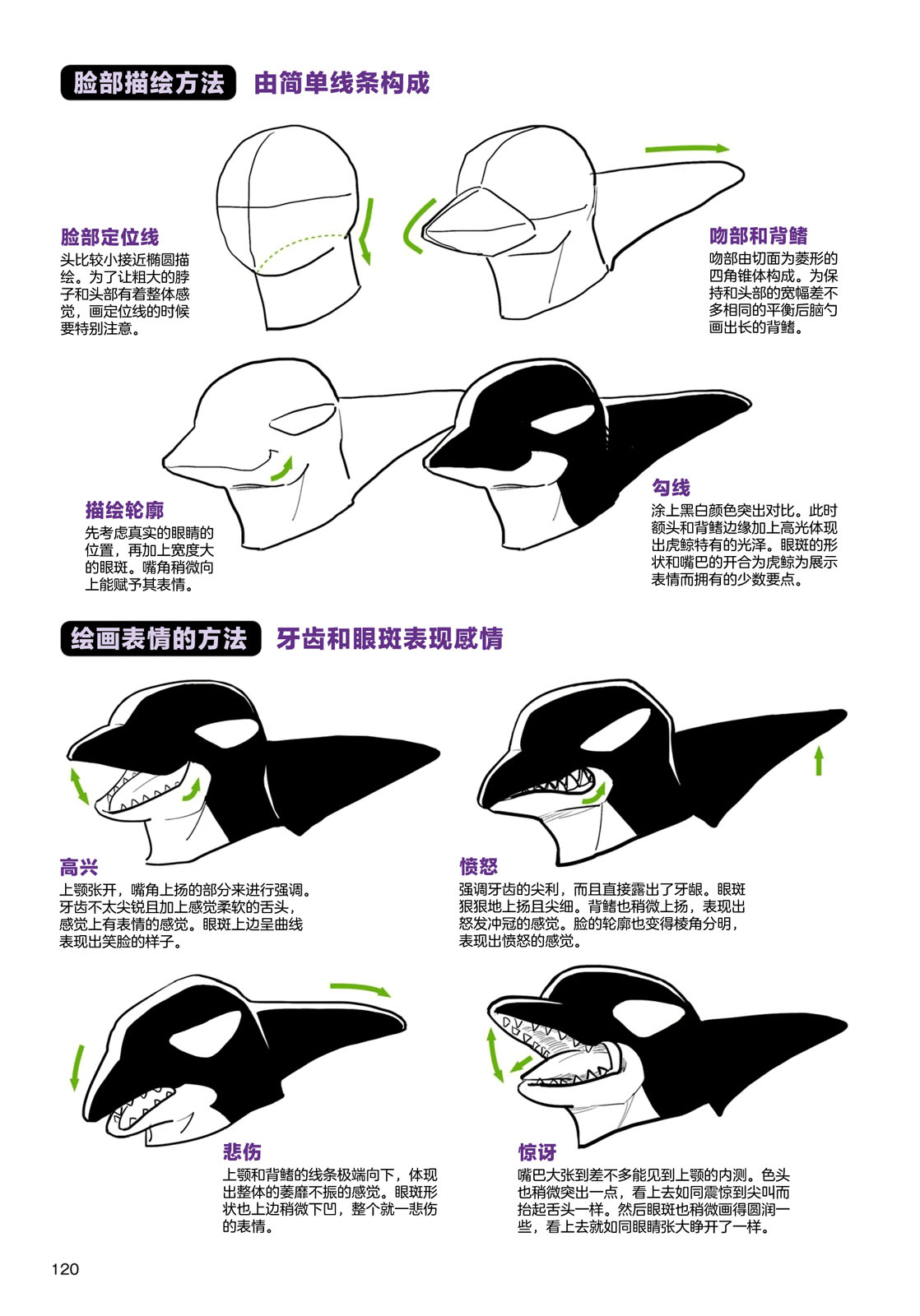 第4话海洋生物0