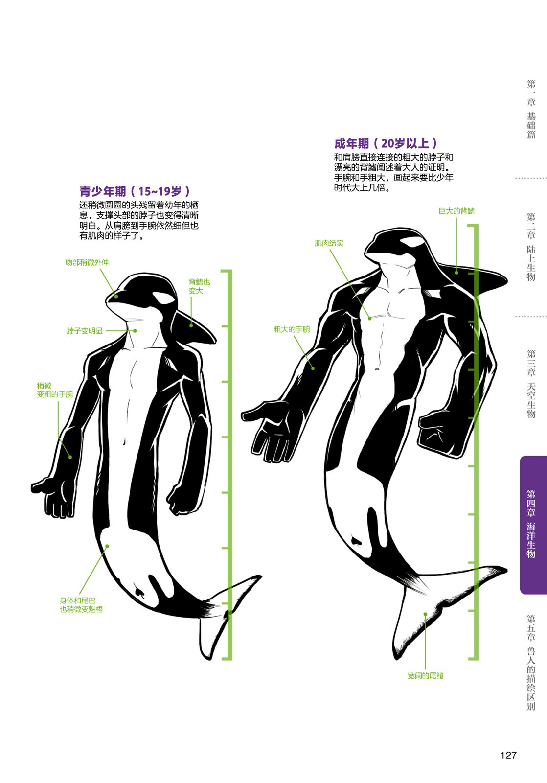 第4话海洋生物2