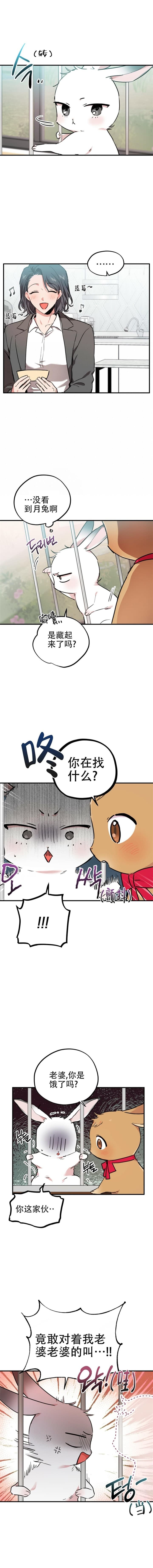  夏菲菲的兔子漫画,第4话2图