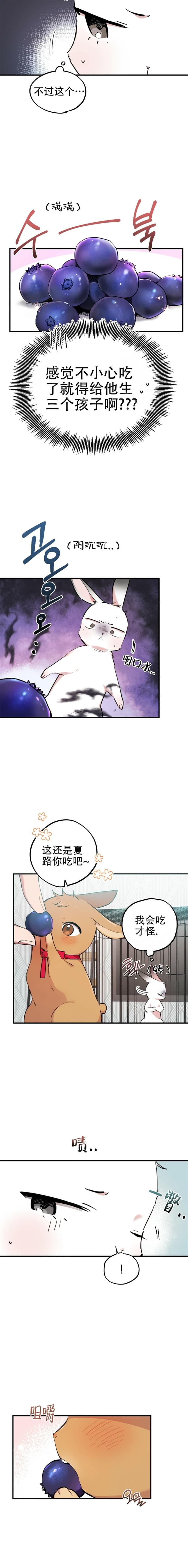  夏菲菲的兔子漫画,第4话5图