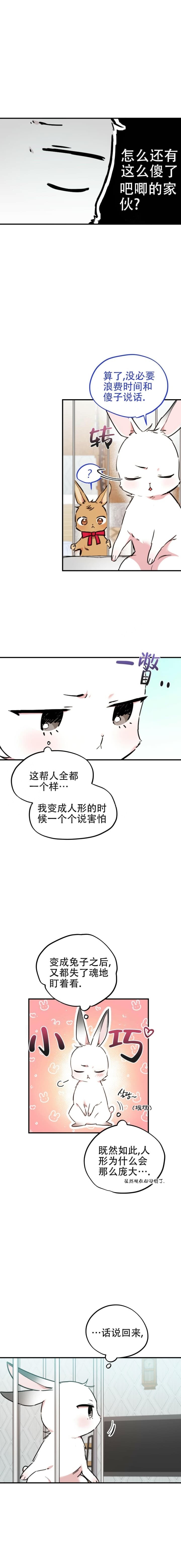  夏菲菲的兔子漫画,第4话1图