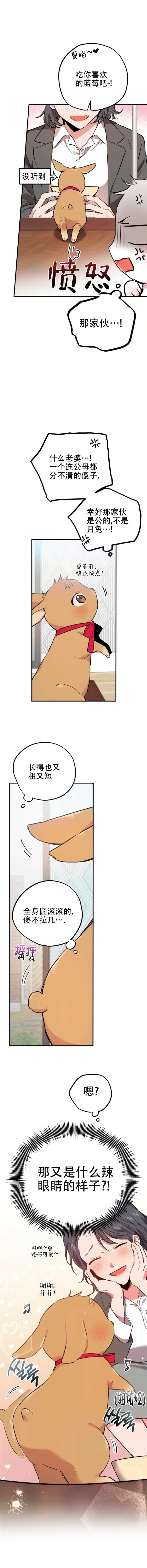  夏菲菲的兔子漫画,第4话3图