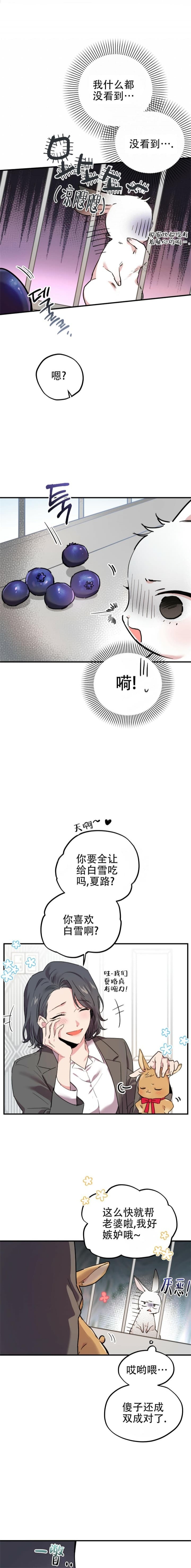  夏菲菲的兔子漫画,第4话4图