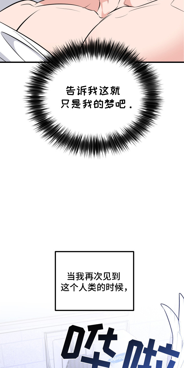 丘比特许个愿漫画,第3话2图