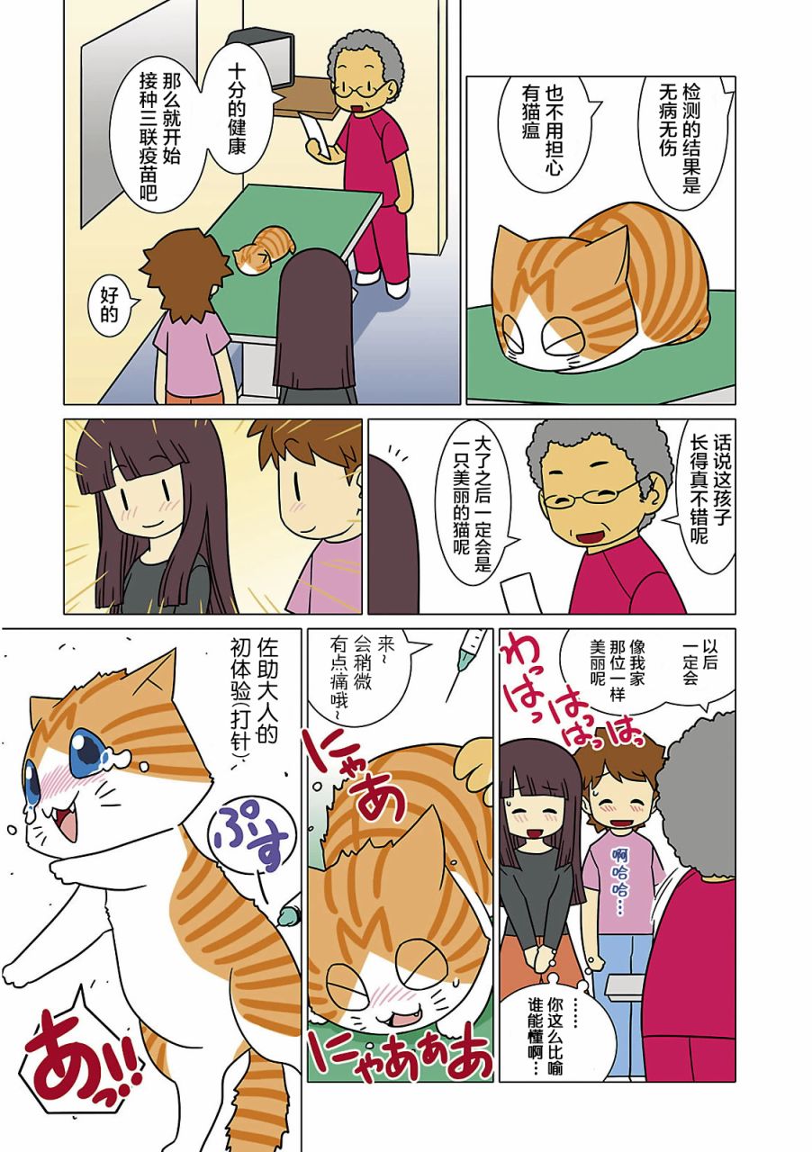 猫和我的日常漫画,第2话2图