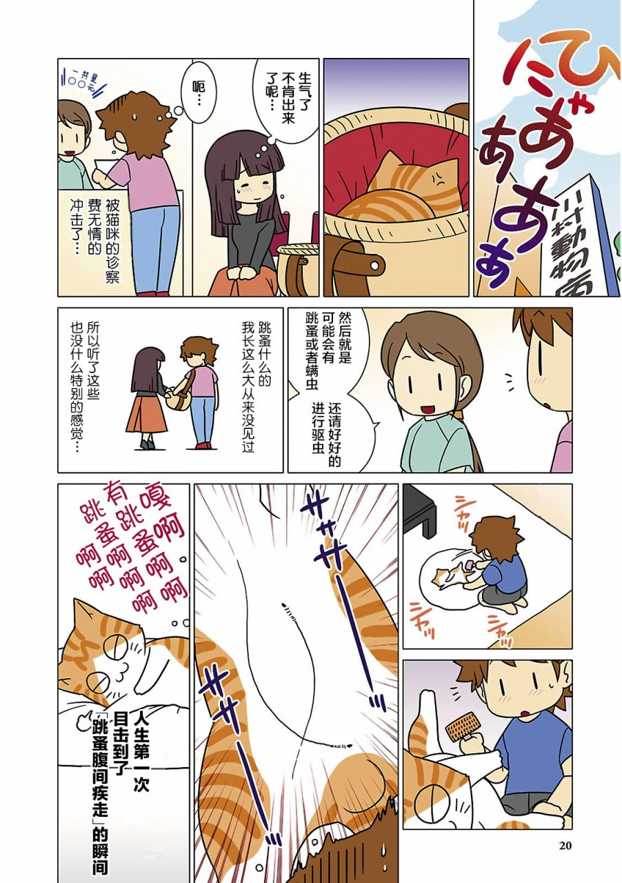 猫和我的日常漫画,第2话3图