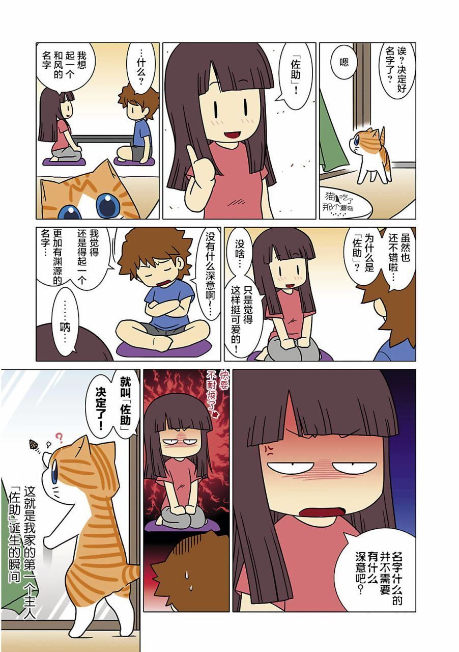 猫和我的日常漫画,第2话5图