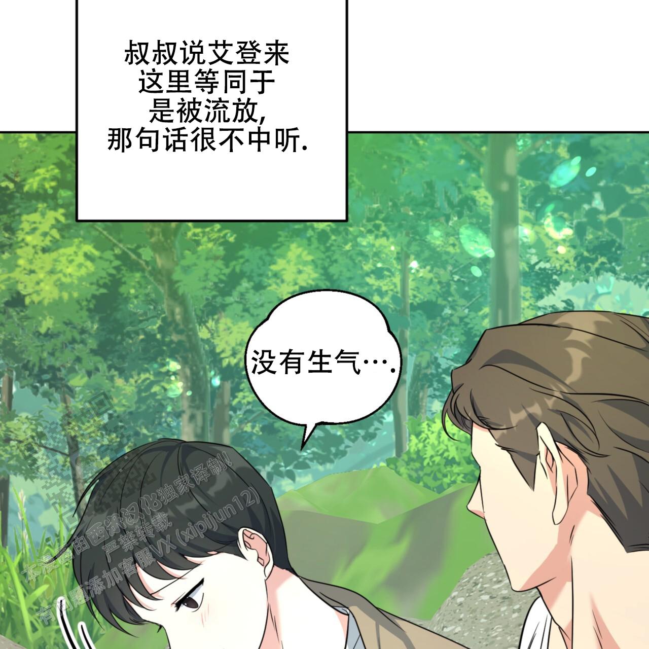 温柔的森林书源和艾登小说漫画,第9话1图