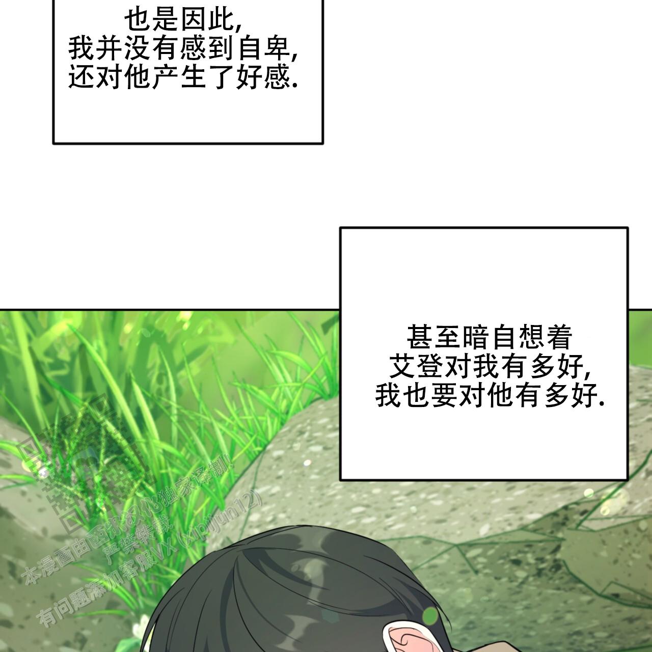 温柔的森林书源和艾登小说漫画,第9话5图