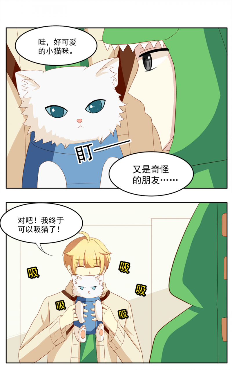 主子是猫王子殿下漫画,第12话4图