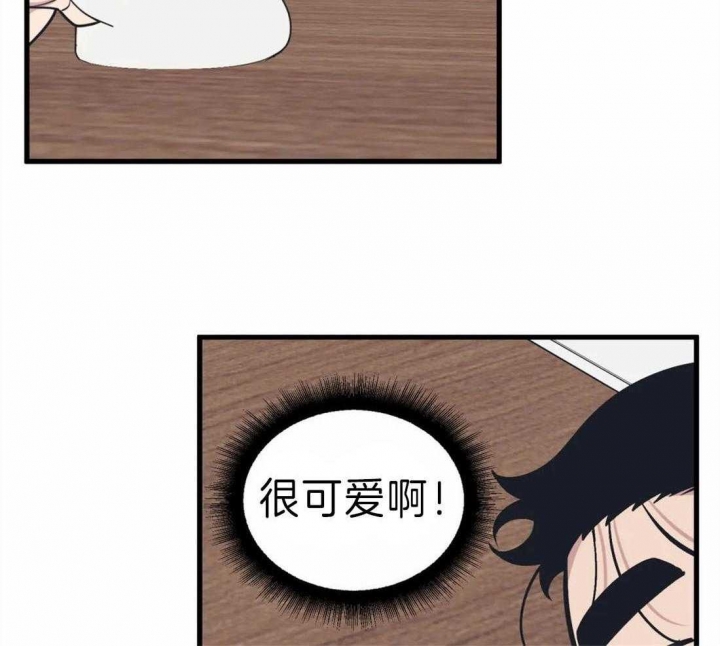 我的邻居是bj免费全集漫画,第11话4图