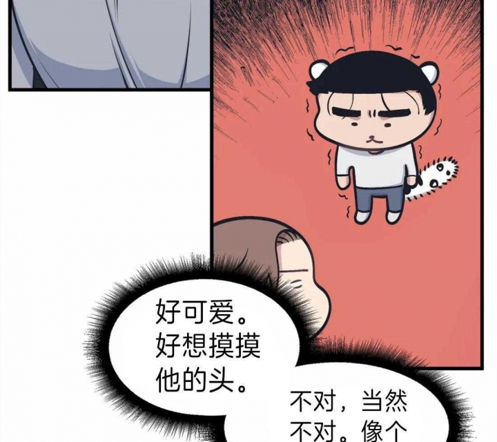 我的邻居是bj未删减漫画全集免费观看漫画,第11话5图