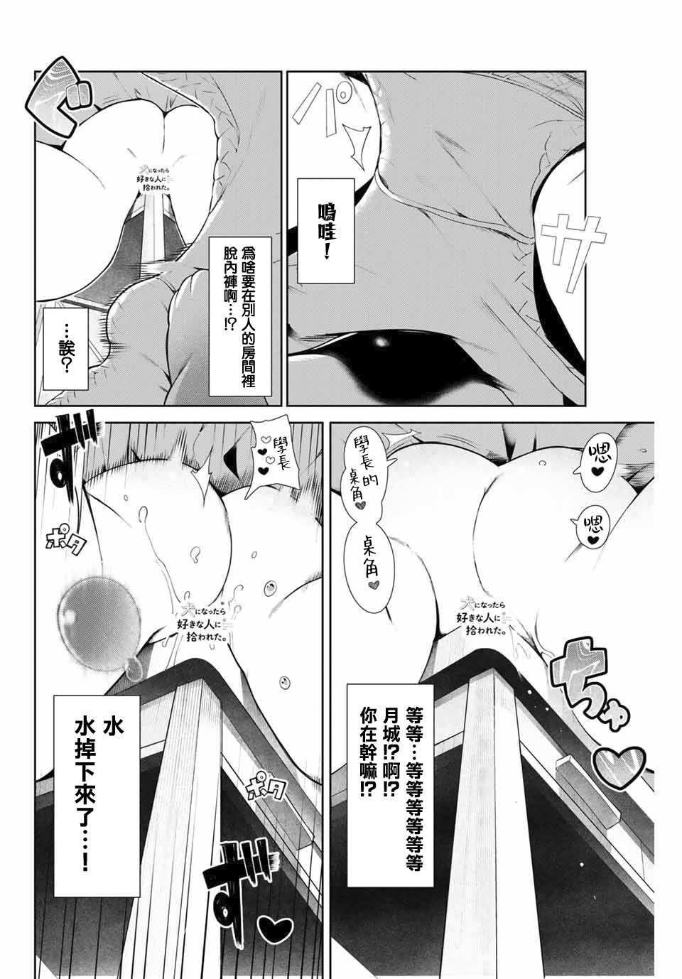 身而为狗 我很幸福漫画,第8话3图