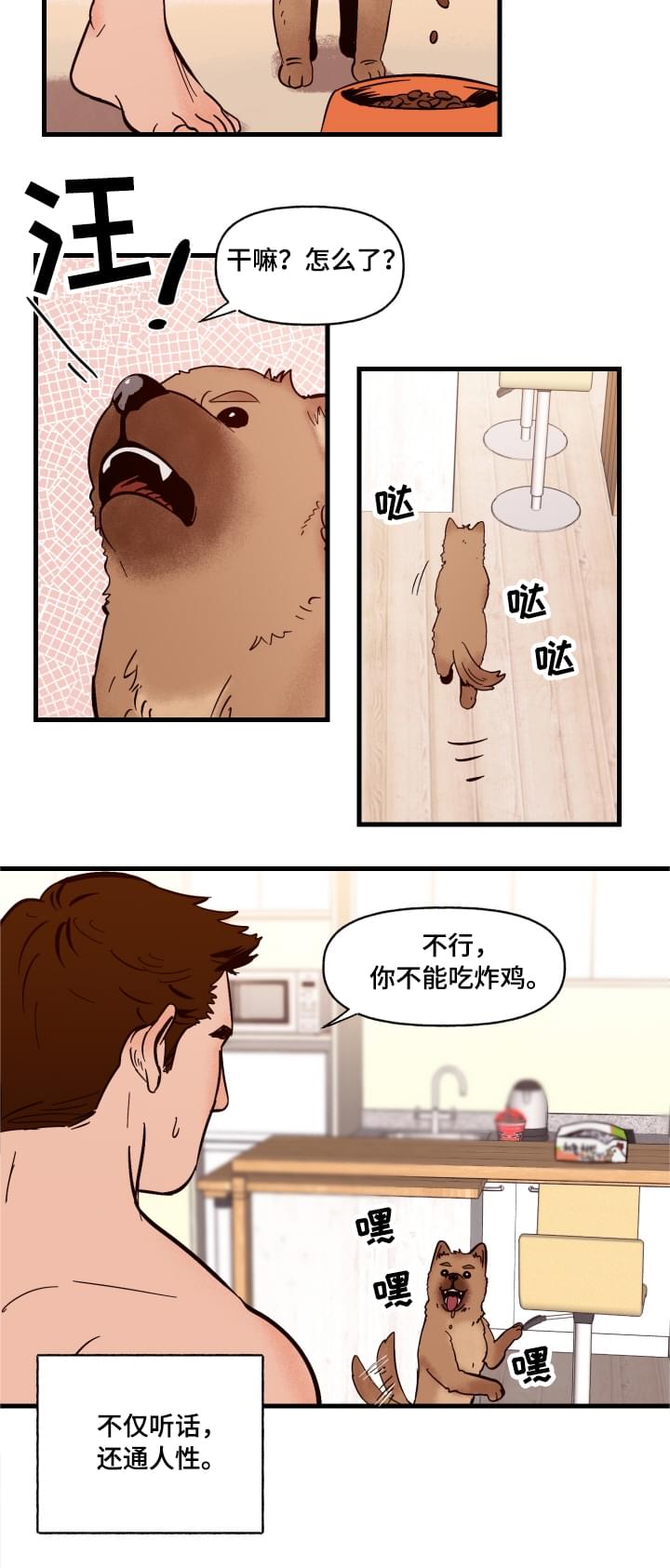 爱宠攻略漫画,第1章：袭击4图