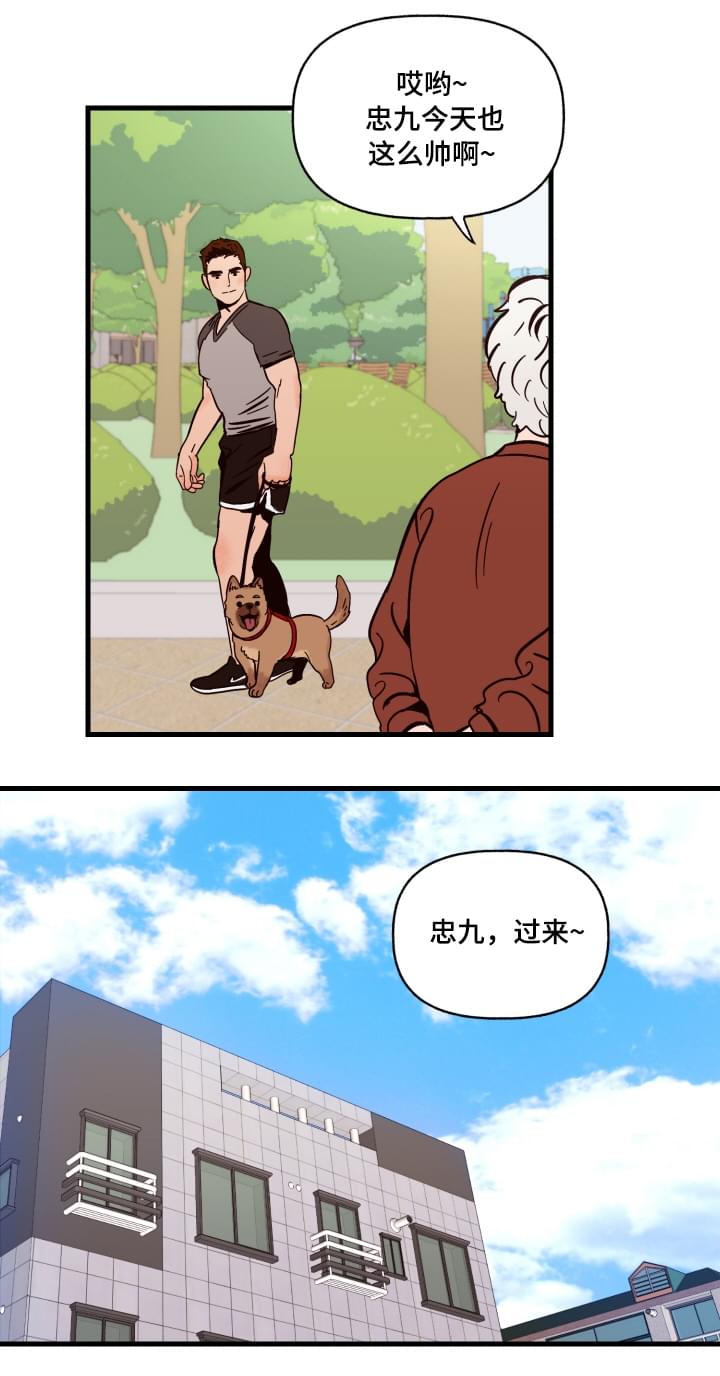 爱宠攻略漫画,第1章：袭击2图