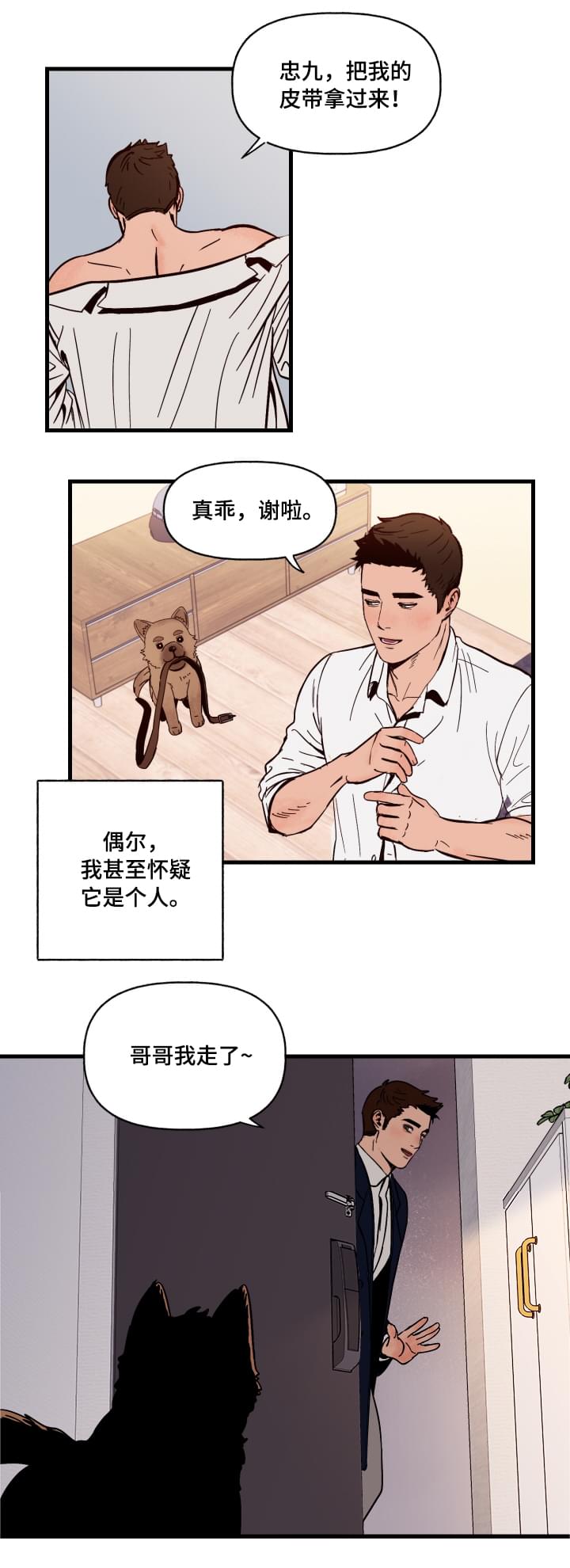 爱宠攻略漫画,第1章：袭击5图